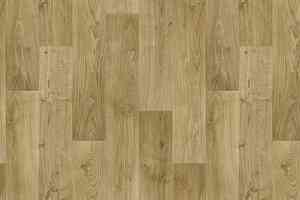 Линолеум Tarkett Discovery RIGARD 2 фото  | FLOORDEALER